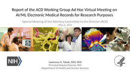 Report of the ACD Working Group Ad Hoc Virtual Meeting on AI/ML