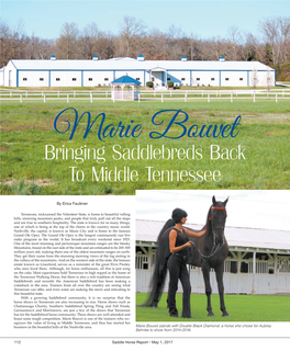 Bringing Saddlebreds Back to Middle Tennessee