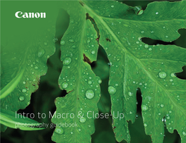 Intro to Macro & Close-Up Photography Guidebook