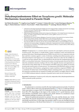 Dehydroepiandrosterone Effect on Toxoplasma Gondii: Molecular Mechanisms Associated to Parasite Death