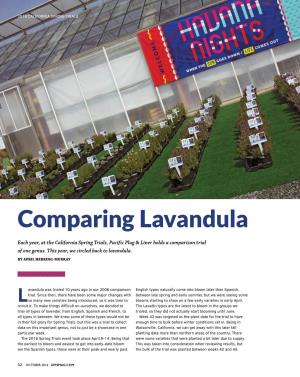 Comparing Lavandula