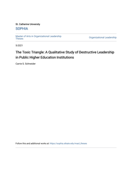 The Toxic Triangle: a Qualitative Study of Destructive Leadership in Public Higher Education Institutions