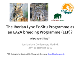 The Iberian Lynx Ex-Situ Programme As an EAZA Breeding Programme (EEP)? Alexander Sliwa*