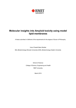Molecular Insights Into Amyloid Toxicity Using Model Lipid Membranes