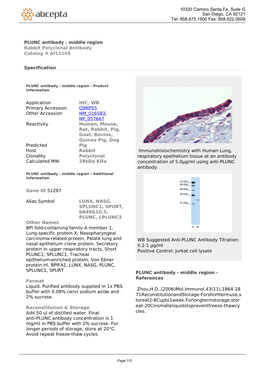 PLUNC Antibody - Middle Region Rabbit Polyclonal Antibody Catalog # AI12105