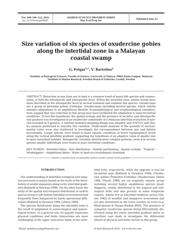 Size Variation of Six Species of Oxudercine Gobies Along the Intertidal Zone in a Malayan Coastal Swamp