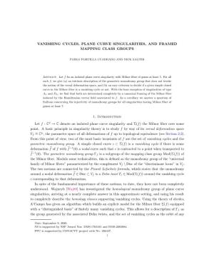 Vanishing Cycles, Plane Curve Singularities, and Framed Mapping Class Groups