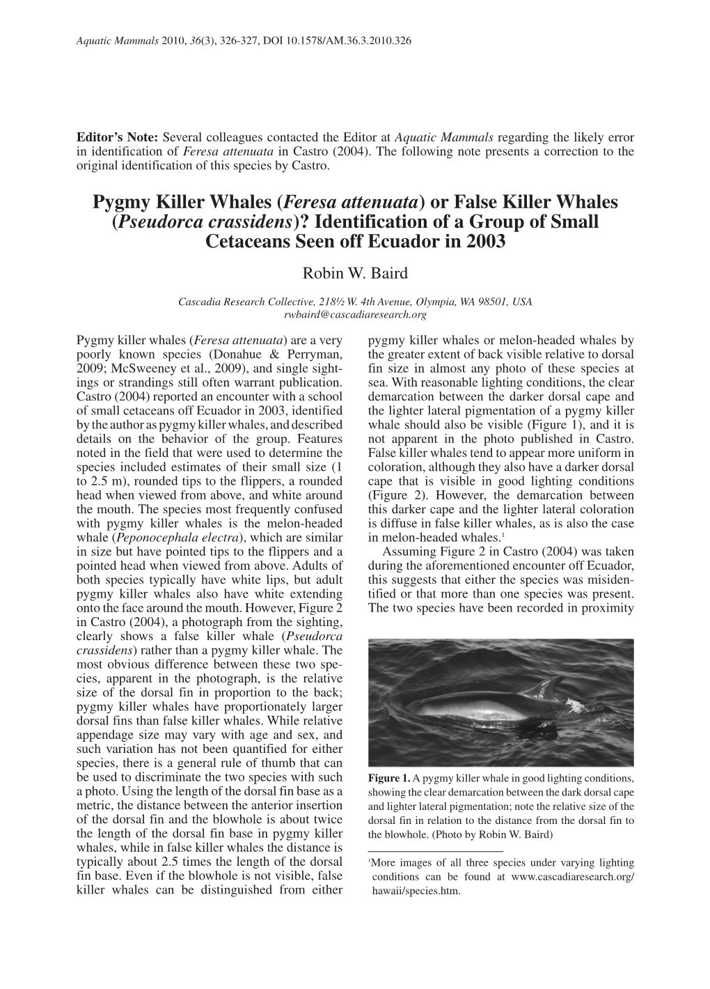 (Feresa Attenuata) Or False Killer Whales (Pseudorca Crassidens)? Identification of a Group of Small Cetaceans Seen Off Ecuador in 2003 Robin W