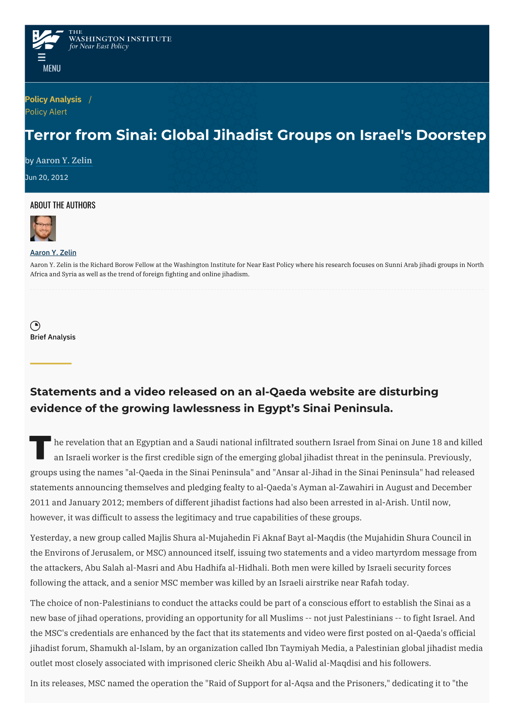 Terror from Sinai: Global Jihadist Groups on Israel's Doorstep | the Washington Institute