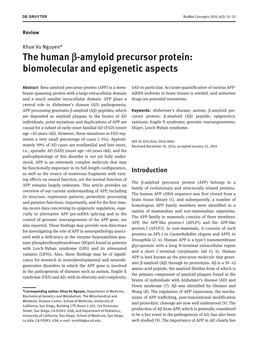 The Human Β-Amyloid Precursor Protein: Biomolecular and Epigenetic Aspects