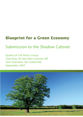 Blueprint for a Green Economy