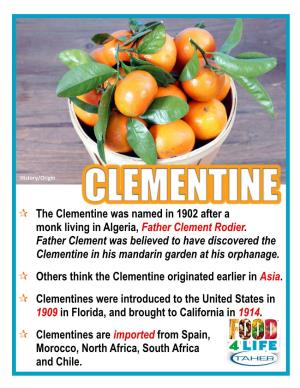 The Clementine Was Named in 1902 After a Monk Living in Algeria, Father Clement Rodier. Father Clement Was Believed to Ha