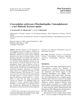 Conocephalum Salebrosum (Marchantiopsida, Conocephalaceae) – a New Holarctic Liverwort Species