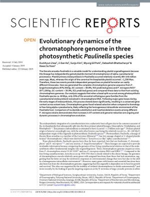 Evolutionary Dynamics of the Chromatophore Genome in Three