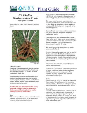 Cassava Plant Guide