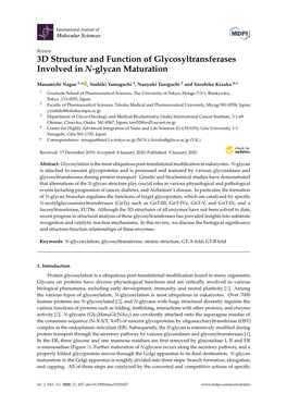 3D Structure and Function of Glycosyltransferases Involved in N-Glycan Maturation