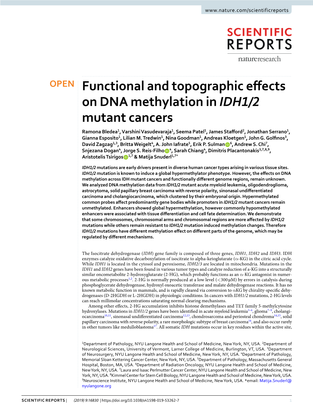 Functional and Topographic Effects on DNA Methylation in IDH1/2 Mutant