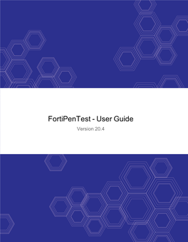 Fortipentest User Guide, V20.4