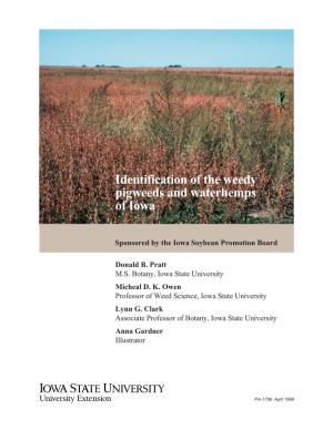 Identification of the Weedy Pigweeds and Waterhemps of Iowa