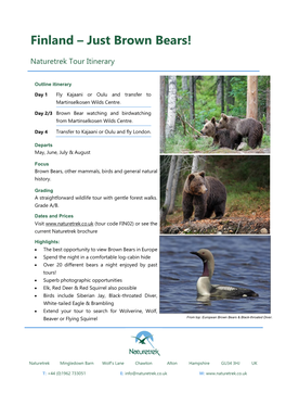 Finland – Just Brown Bears!