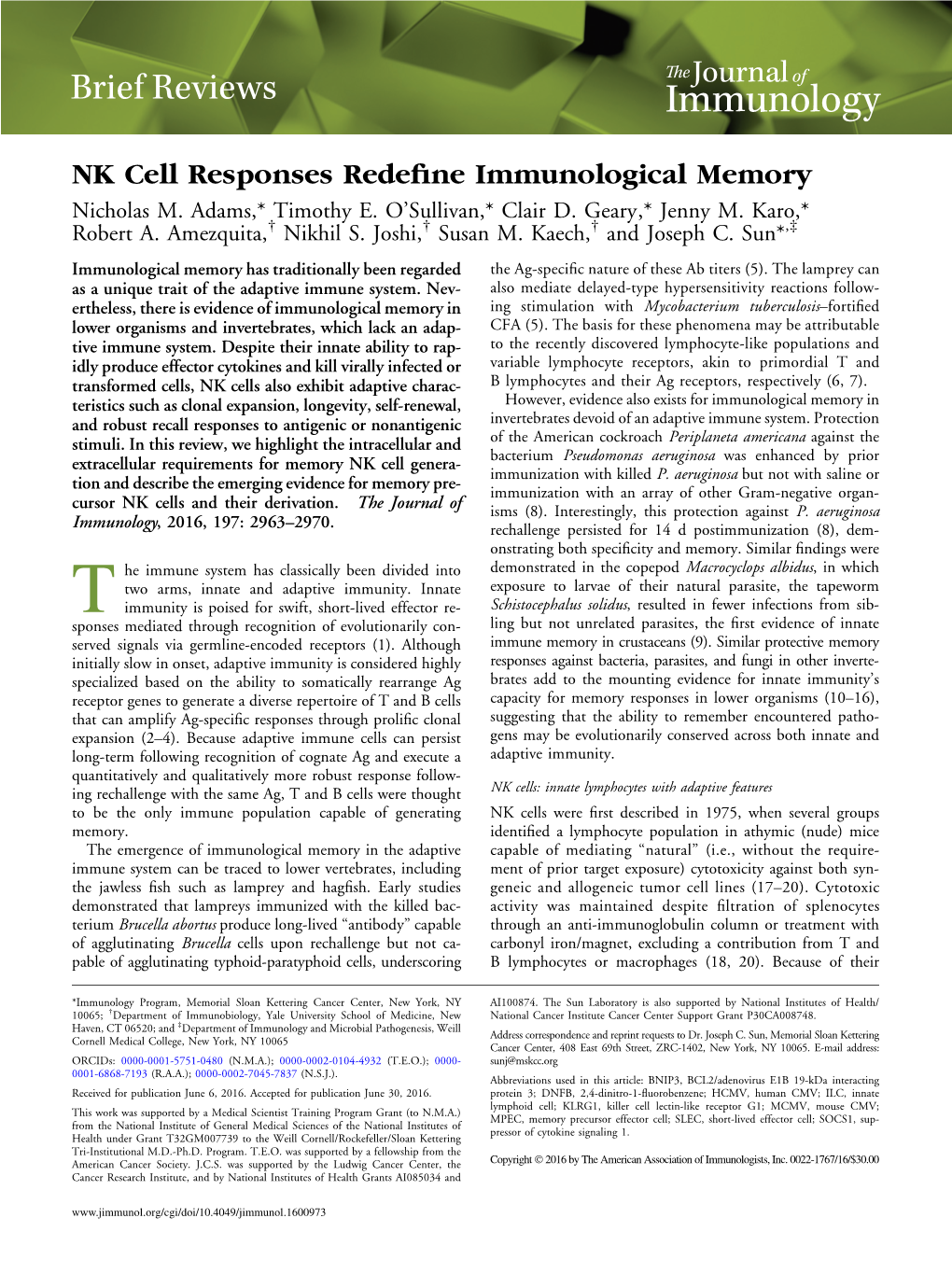 NK Cell Responses Redefine Immunological Memory