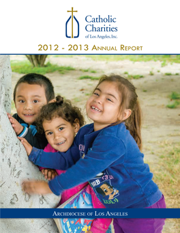 2013 Annual Report