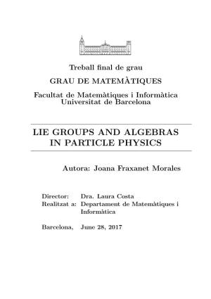 Lie Groups and Algebras in Particle Physics