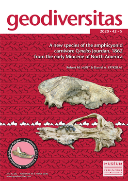 A New Species of the Amphicyonid Carnivore Cynelos Jourdan, 1862 from the Early Miocene of North America