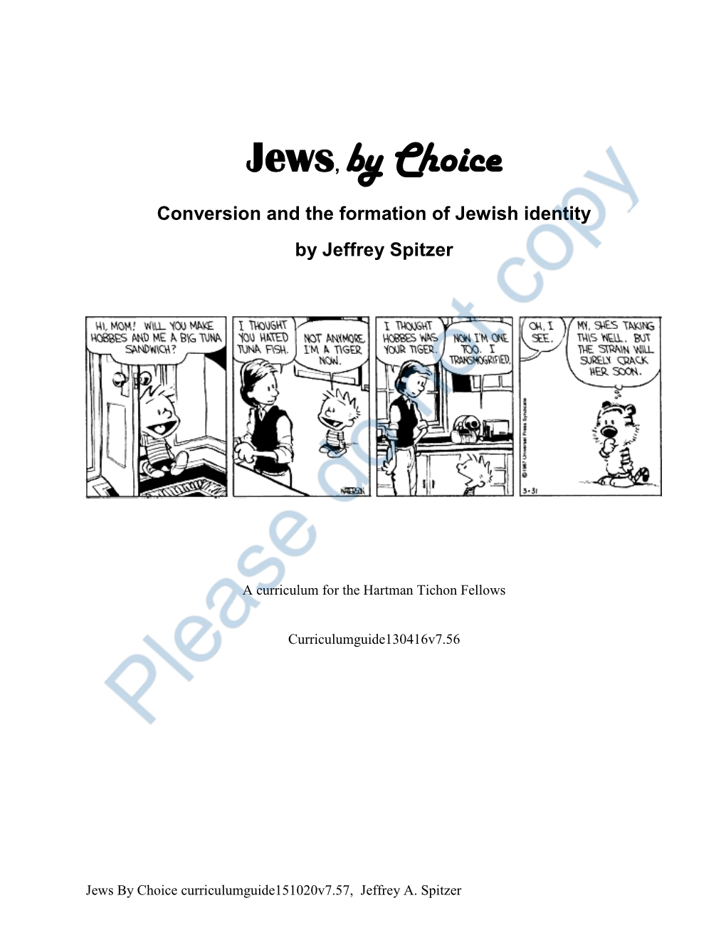 Jews, by Choice Conversion and the Formation of Jewish Identity by Jeffrey Spitzer