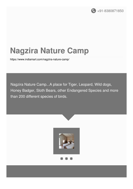 Nagzira Nature Camp