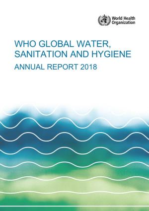 Who Global Water, Sanitation and Hygiene Annual Report 2018