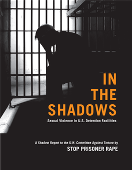 In the Shadows: Sexual Violence in U.S. Detention Facilities
