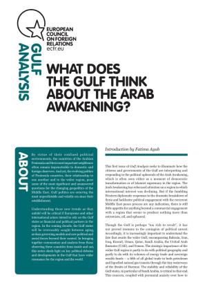 Gulf Analysis Seeks to Illuminate How the Foreign Observers