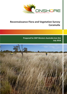 Reconnaissance Flora and Vegetation Survey Caramulla