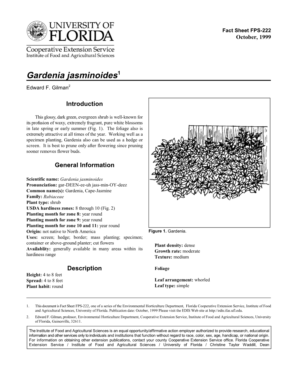 Gardenia Jasminoides1