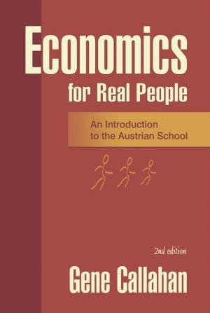 Economics-For-Real-People.Pdf
