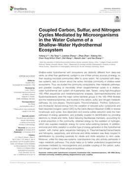 Coupled Carbon, Sulfur, and Nitrogen Cycles Mediated by Microorganisms in the Water Column of a Shallow-Water Hydrothermal Ecosystem
