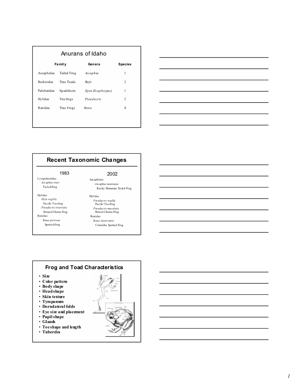 Anurans of Idaho Recent Taxonomic Changes