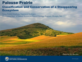 Palouse Prairie Classification and Conservation of a Disappearing Ecosystem Tynan Ramm-Granberg, Vegetation Ecologist Washington Dept