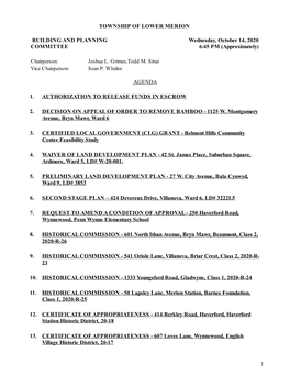 TOWNSHIP of LOWER MERION Building and Planning Committee