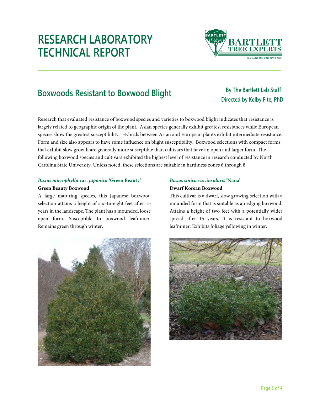 Boxwood Varieties Resistant to Boxwood Blight