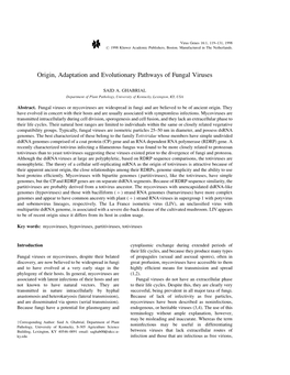 Origin, Adaptation and Evolutionary Pathways of Fungal Viruses