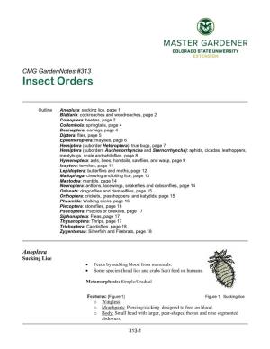 Insect Orders