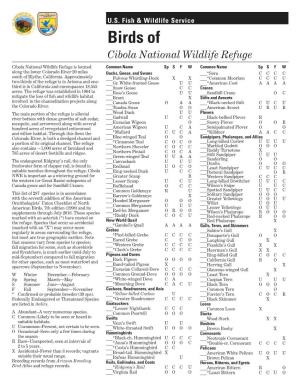 Birds of Cibola National Wildlife Refuge