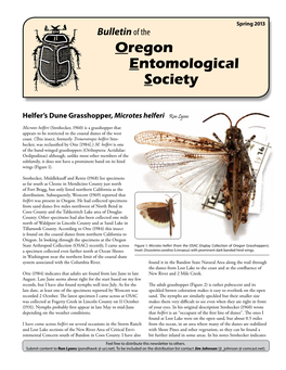 Spring 2013 Bulletin of the Oregon Entomological Society