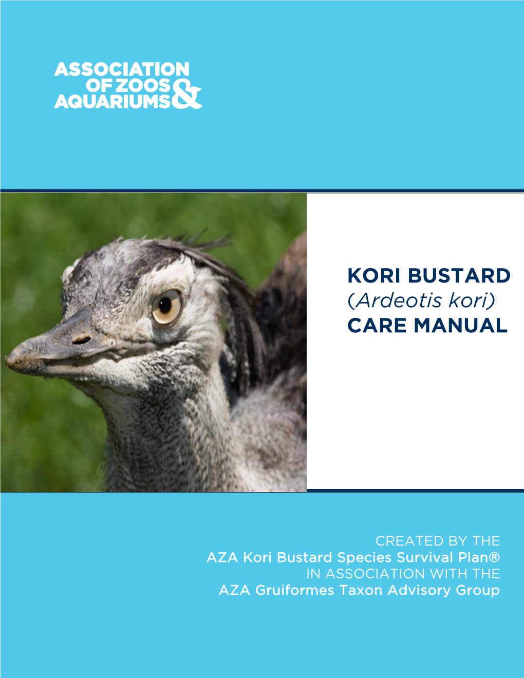 KORI BUSTARD (Ardeotis Kori) CARE MANUAL