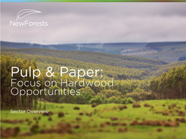 Pulp & Paper: Focus on Hardwood Opportunities