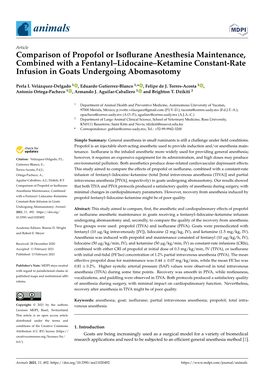 Comparison of Propofol Or Isoflurane Anesthesia Maintenance, Combined with a Fentanyl–Lidocaine–Ketamine Constant-Rate Infus
