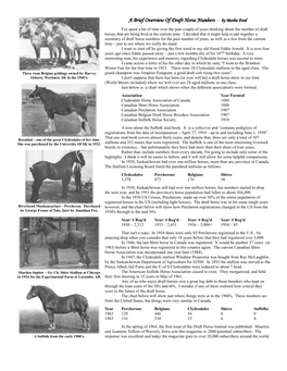 A Brief Overview of Draft Horse Numbers