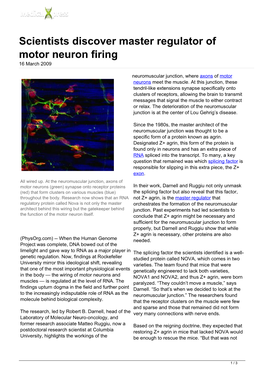 Scientists Discover Master Regulator of Motor Neuron Firing 16 March 2009